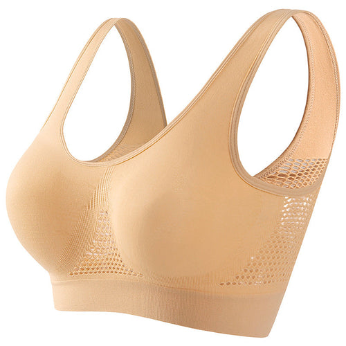 Women's Small Chest Push-up Workout Bra, Sizes Small - 5XL